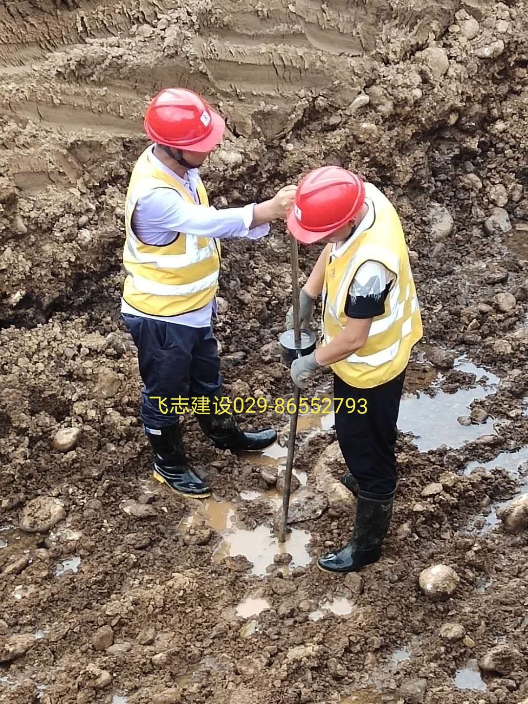 岭南生物科技园项目